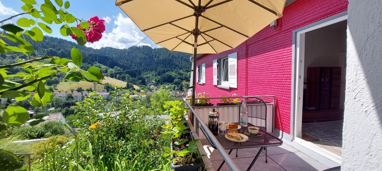 Appartement Talstadtblick à Schramberg Extérieur photo