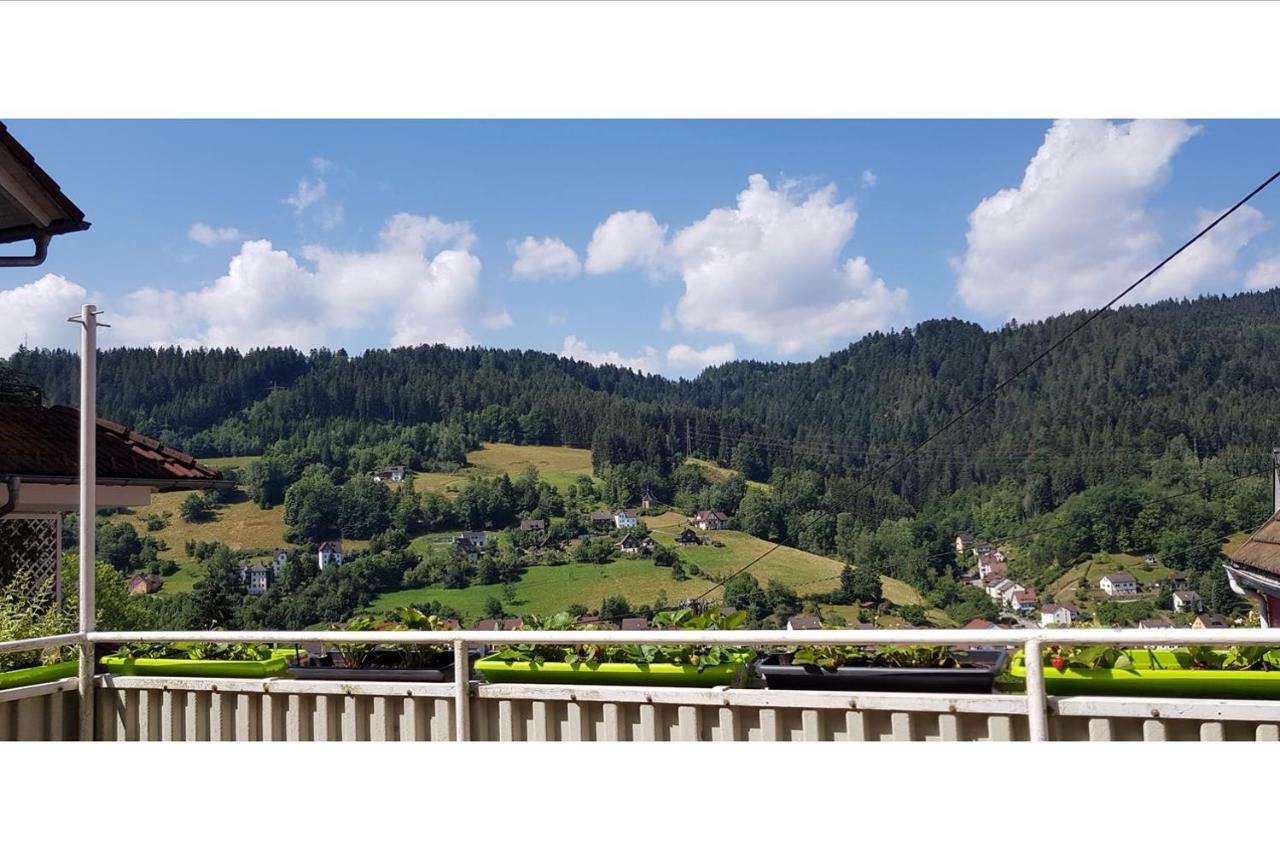 Appartement Talstadtblick à Schramberg Extérieur photo