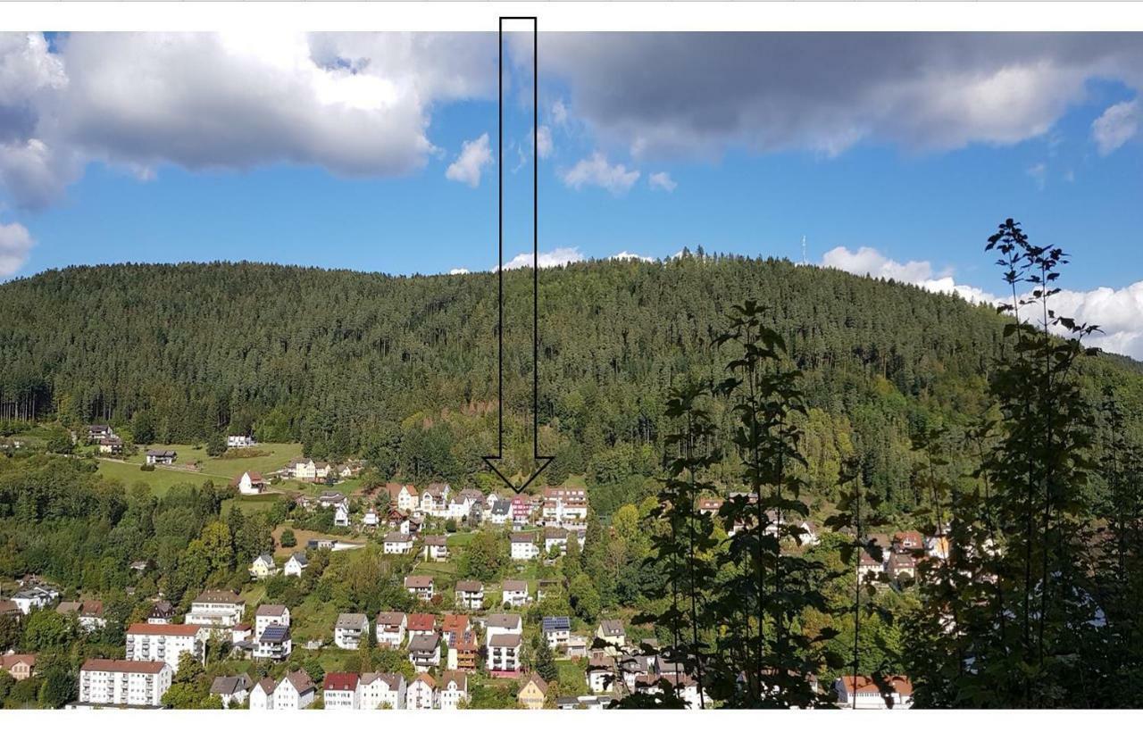 Appartement Talstadtblick à Schramberg Extérieur photo