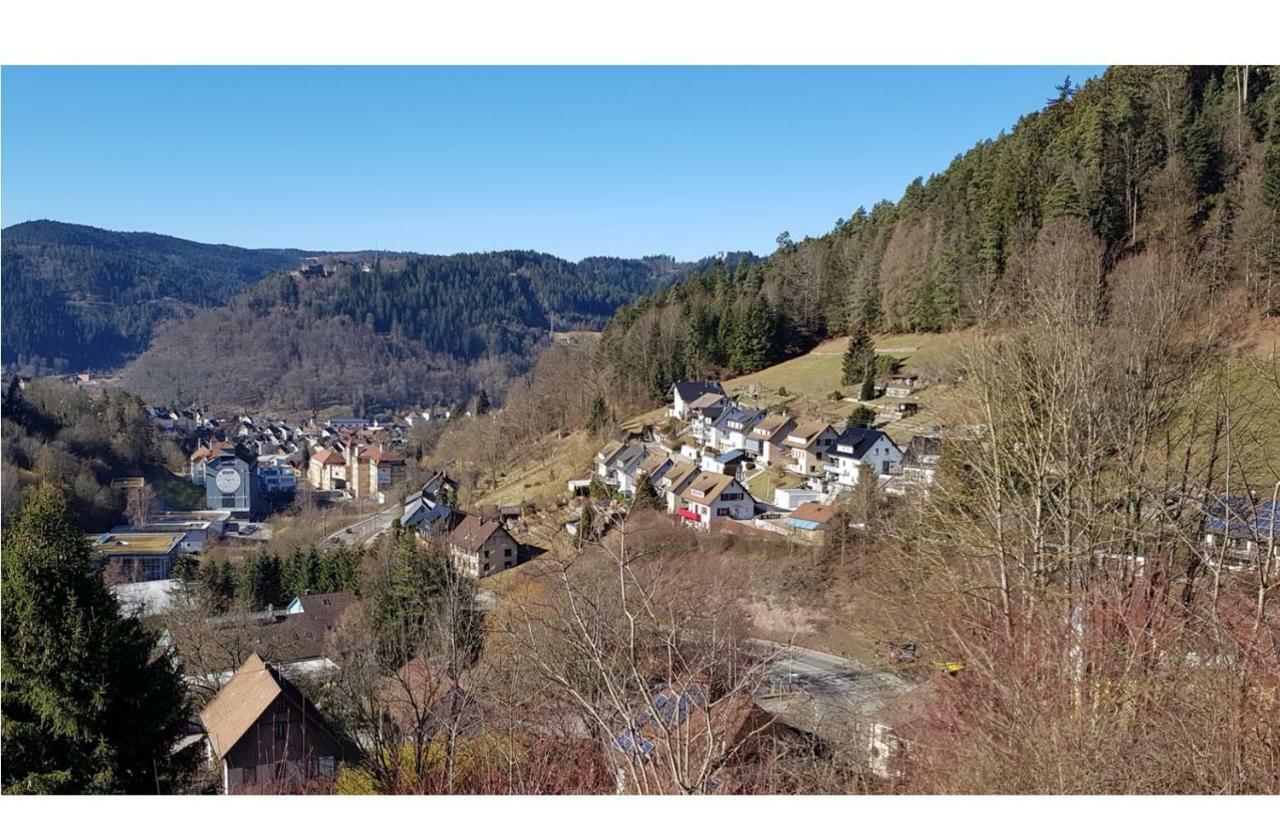 Appartement Talstadtblick à Schramberg Extérieur photo