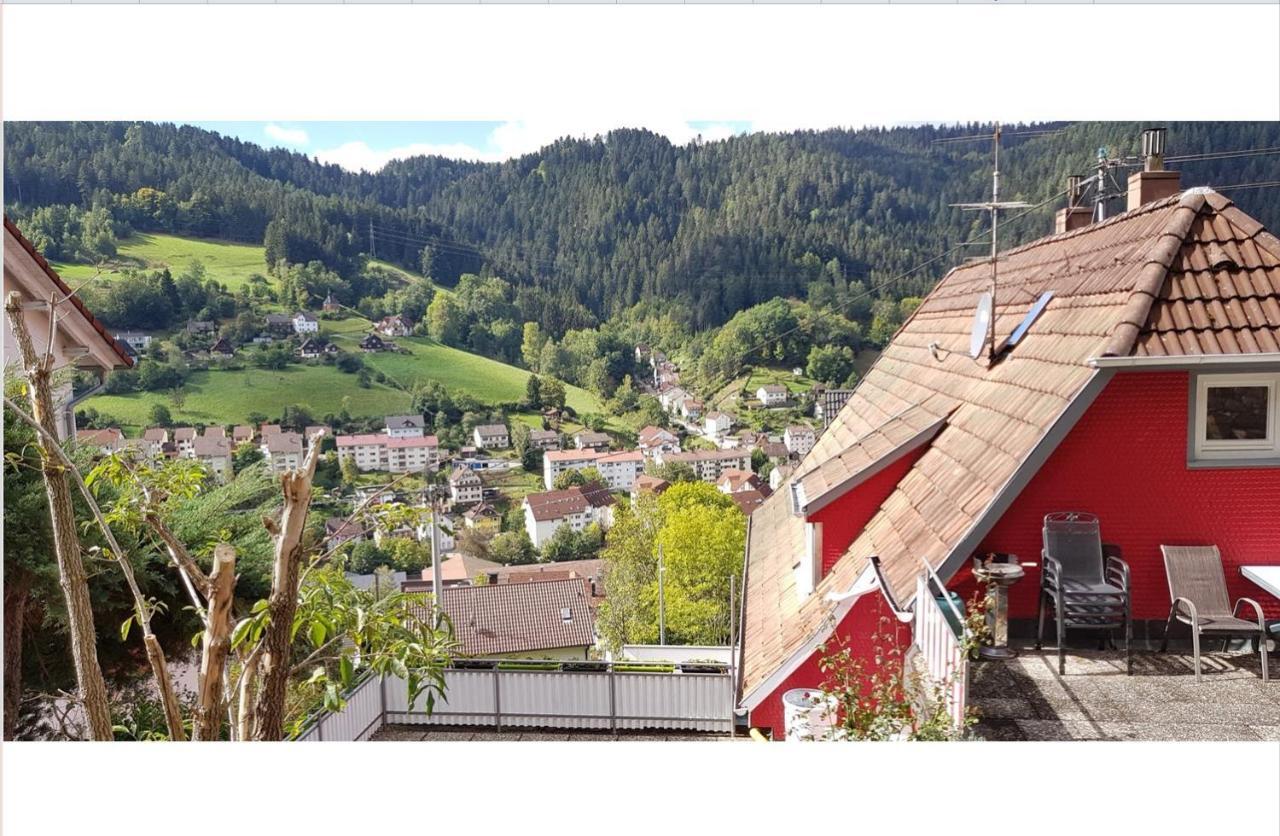 Appartement Talstadtblick à Schramberg Extérieur photo